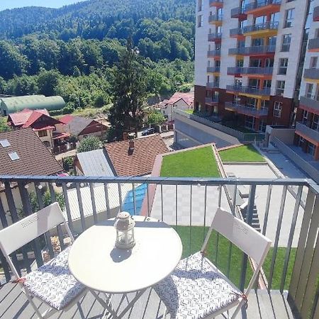 Belle View Sinaia-Free Parking Apartment Luaran gambar