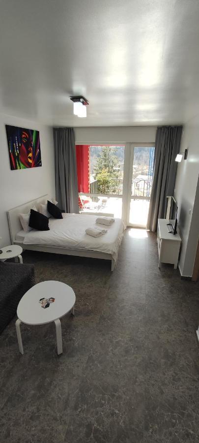 Belle View Sinaia-Free Parking Apartment Luaran gambar