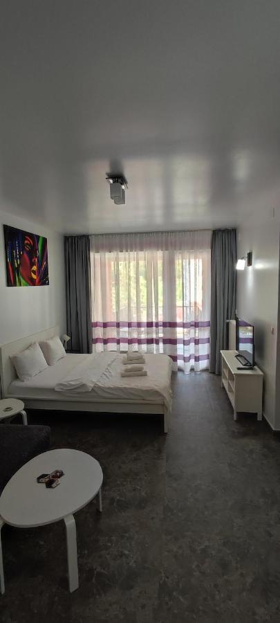 Belle View Sinaia-Free Parking Apartment Luaran gambar